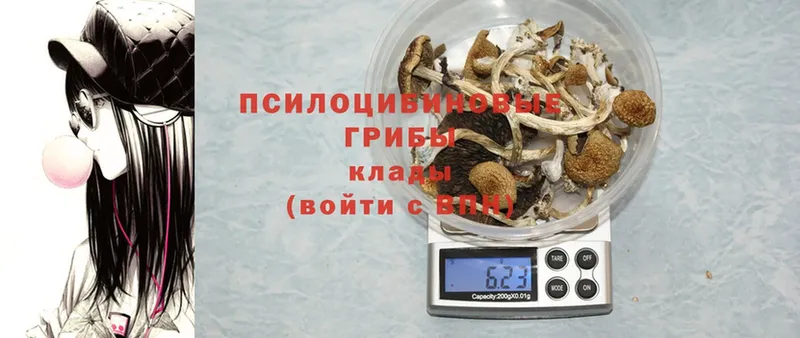 Галлюциногенные грибы MAGIC MUSHROOMS  где продают наркотики  Лысьва 